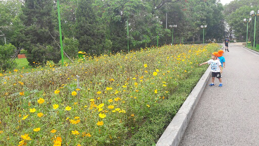公園はきれいに整備されています。虫、魚、トカゲなど生物に出会えます。