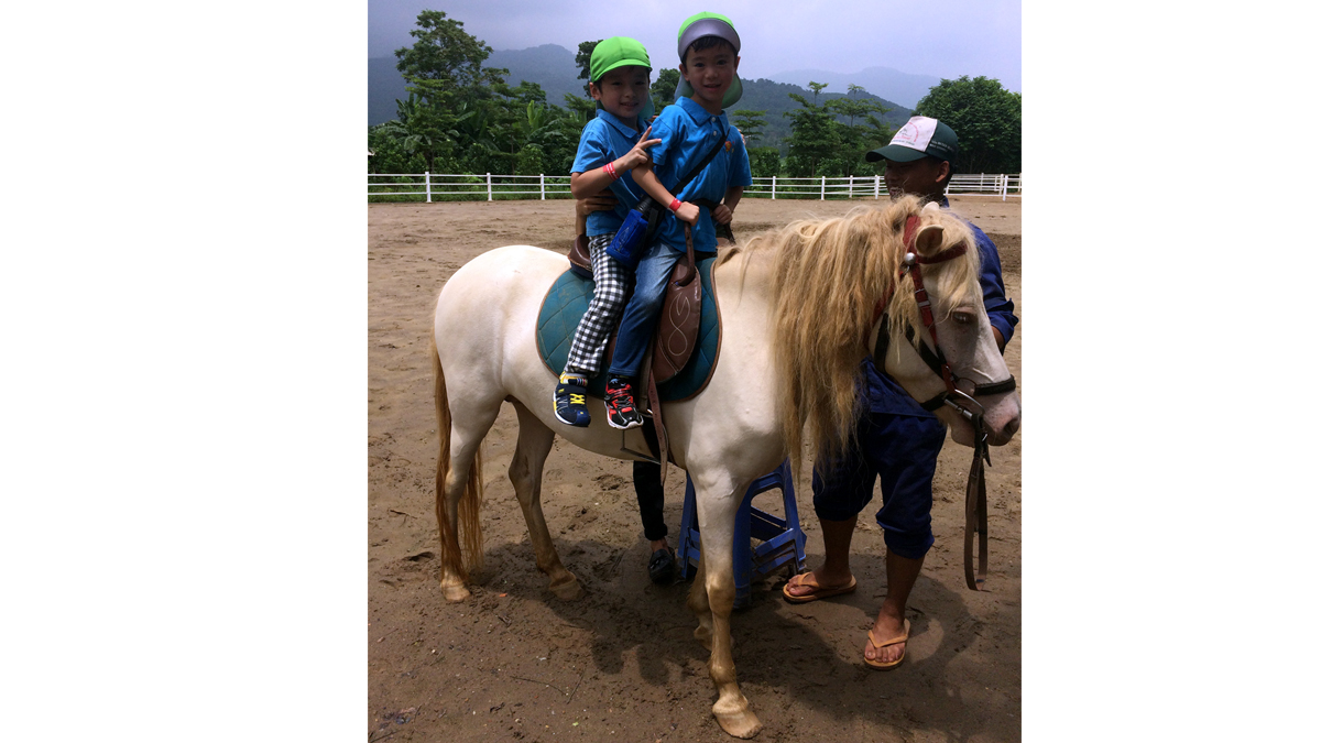 年長お泊り保育①牧場でヤギにえさをあげました。