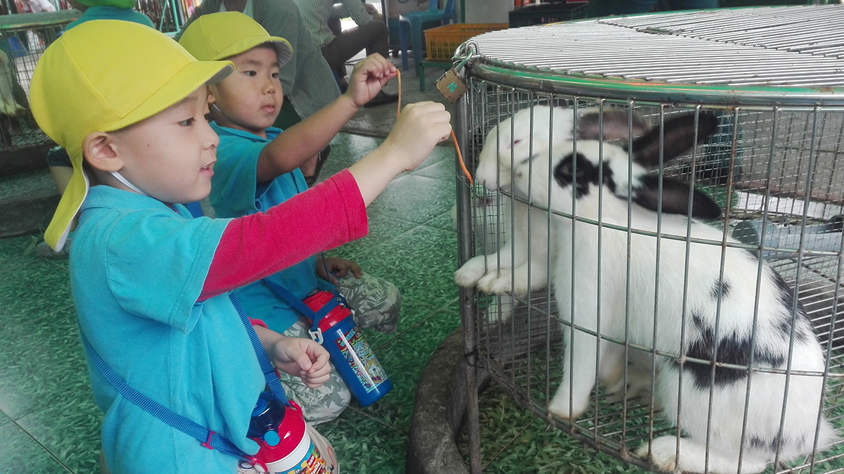 動物園えさやり